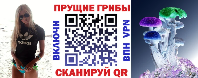 Псилоцибиновые грибы GOLDEN TEACHER  Курильск 